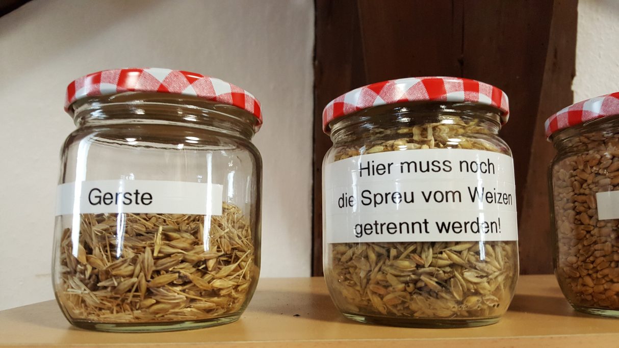 2. Obergeschoss Mühlenausstellung 2 Gläser mit Getreideköner